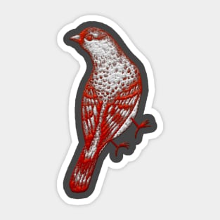 Cute Bird Sticker